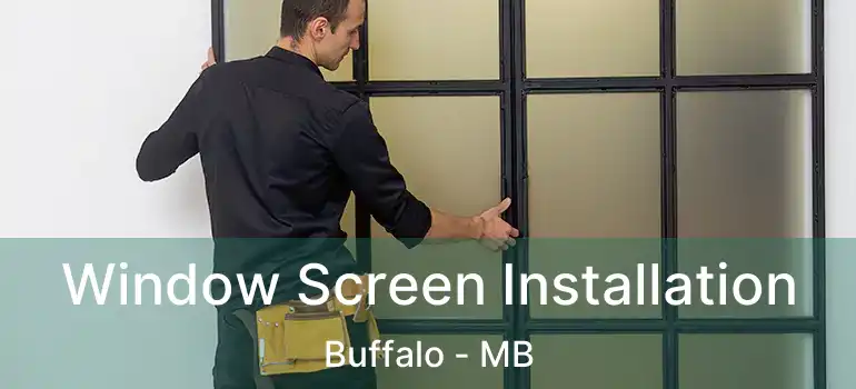  Window Screen Installation Buffalo - MB