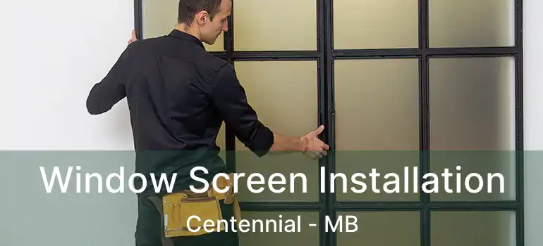  Window Screen Installation Centennial - MB