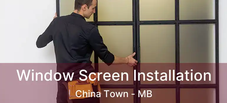  Window Screen Installation China Town - MB