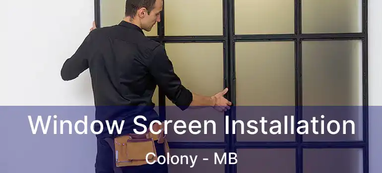  Window Screen Installation Colony - MB