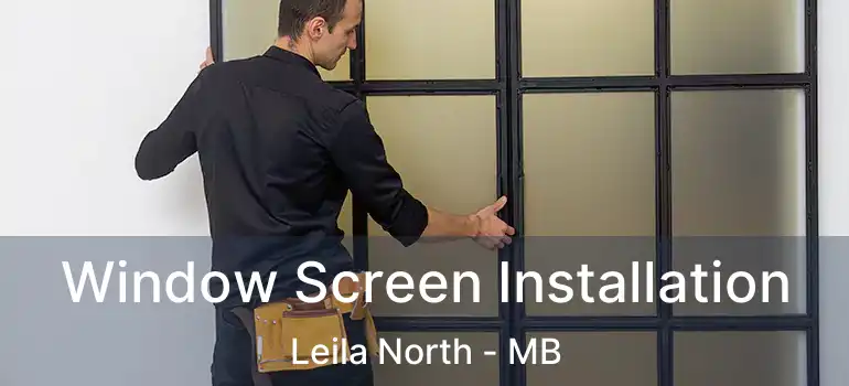  Window Screen Installation Leila North - MB