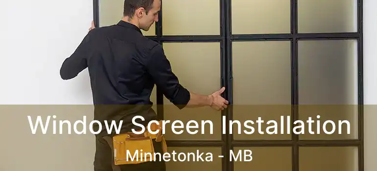  Window Screen Installation Minnetonka - MB