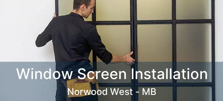  Window Screen Installation Norwood West - MB