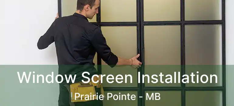  Window Screen Installation Prairie Pointe - MB