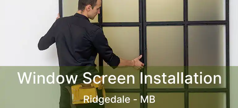  Window Screen Installation Ridgedale - MB