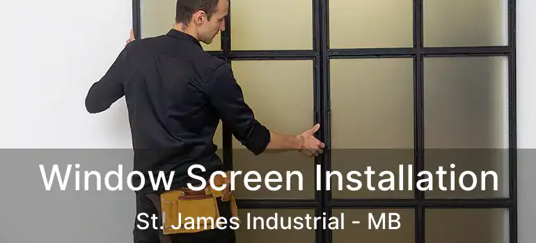  Window Screen Installation St. James Industrial - MB