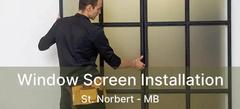  Window Screen Installation St. Norbert - MB