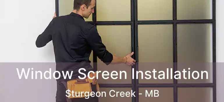  Window Screen Installation Sturgeon Creek - MB