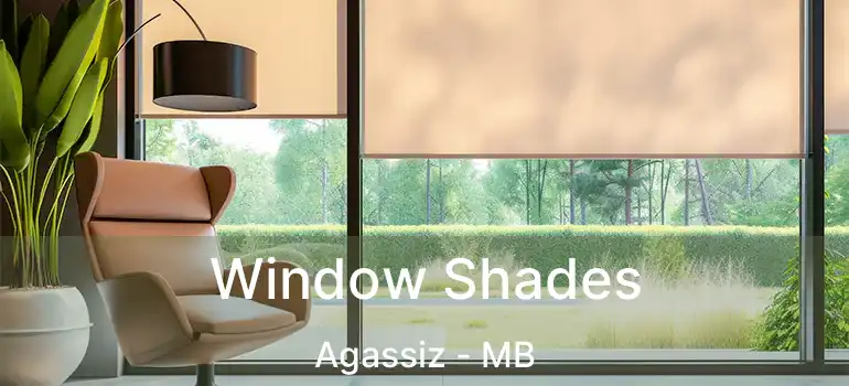  Window Shades Agassiz - MB