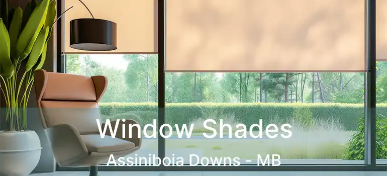  Window Shades Assiniboia Downs - MB