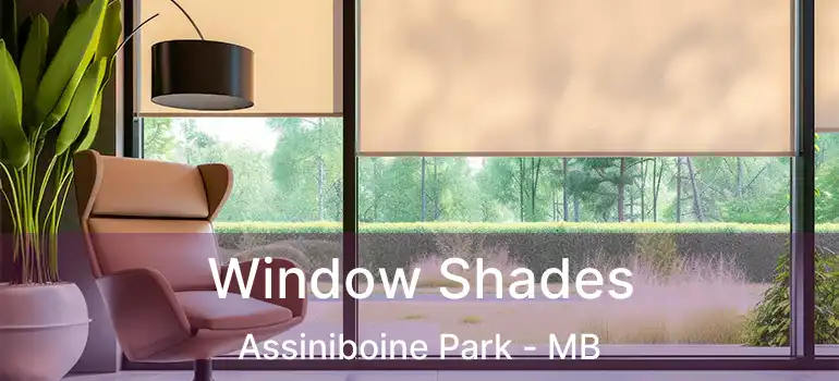  Window Shades Assiniboine Park - MB