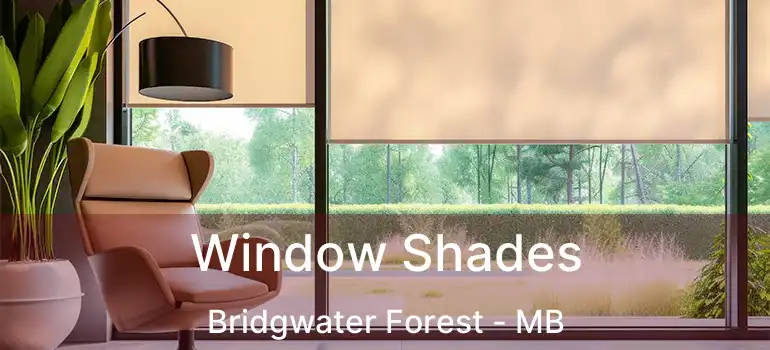  Window Shades Bridgwater Forest - MB