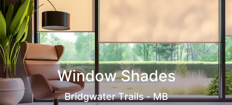  Window Shades Bridgwater Trails - MB