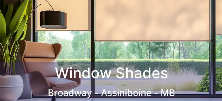  Window Shades Broadway - Assiniboine - MB
