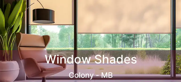 Window Shades Colony - MB
