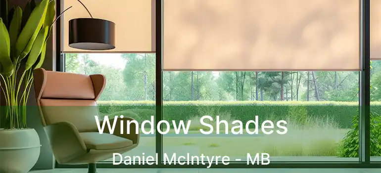  Window Shades Daniel McIntyre - MB
