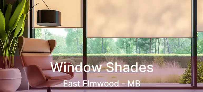  Window Shades East Elmwood - MB