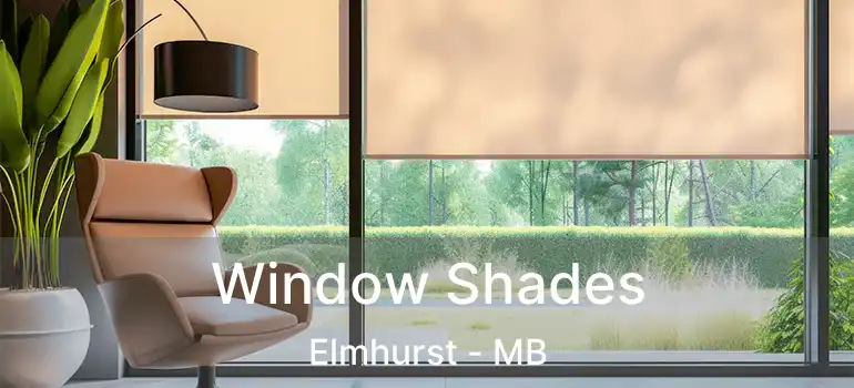  Window Shades Elmhurst - MB