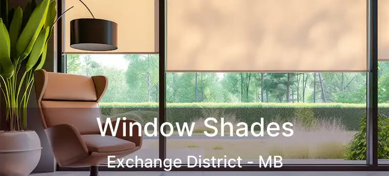  Window Shades Exchange District - MB