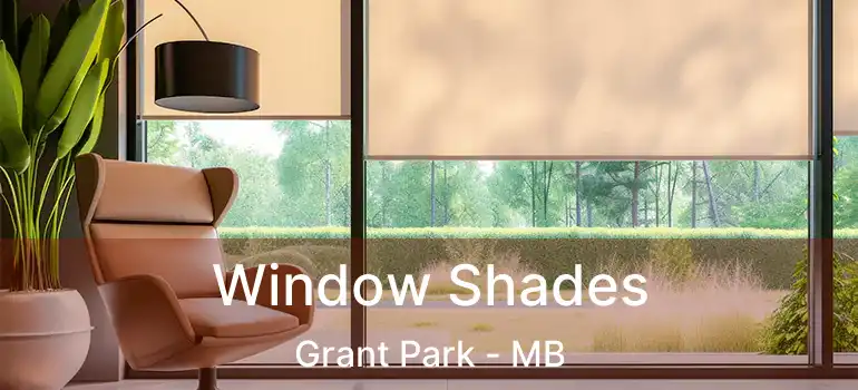  Window Shades Grant Park - MB