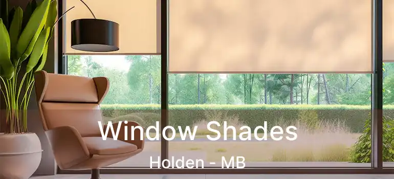  Window Shades Holden - MB