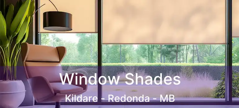  Window Shades Kildare - Redonda - MB