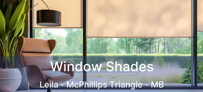  Window Shades Leila - McPhillips Triangle - MB