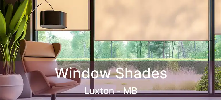  Window Shades Luxton - MB