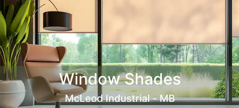  Window Shades McLeod Industrial - MB