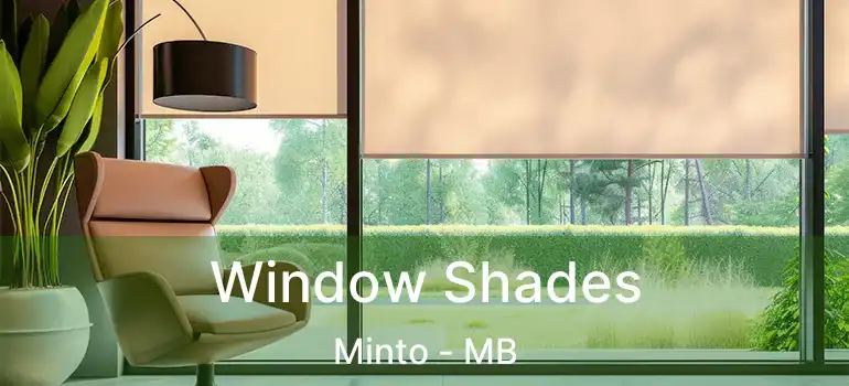  Window Shades Minto - MB