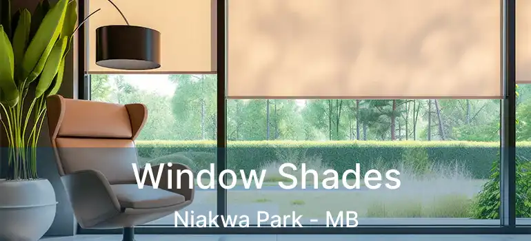  Window Shades Niakwa Park - MB