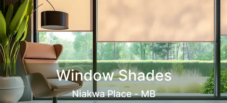  Window Shades Niakwa Place - MB