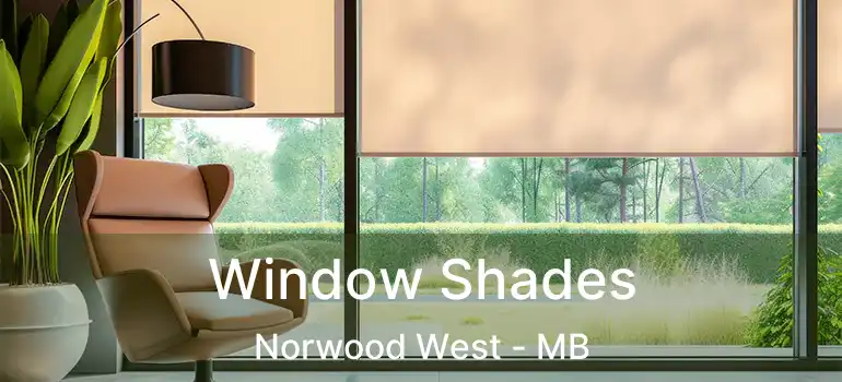  Window Shades Norwood West - MB
