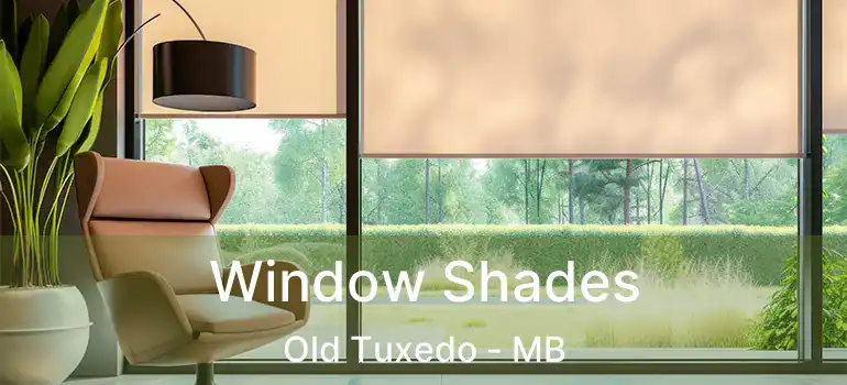  Window Shades Old Tuxedo - MB