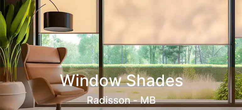  Window Shades Radisson - MB