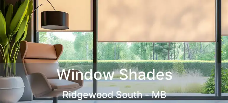  Window Shades Ridgewood South - MB