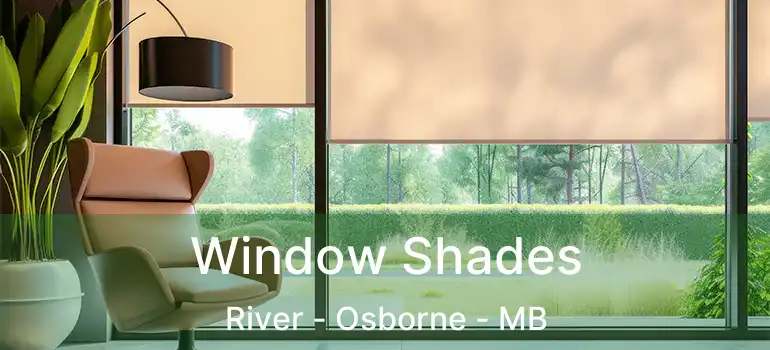  Window Shades River - Osborne - MB