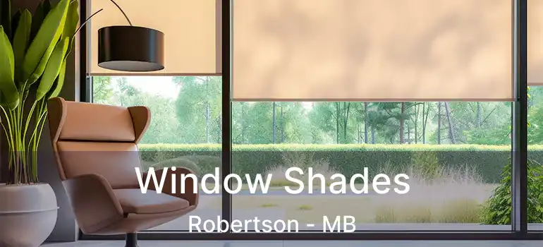 Window Shades Robertson - MB
