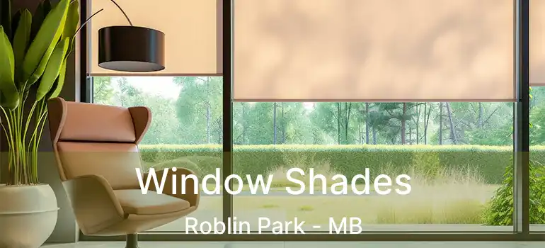  Window Shades Roblin Park - MB