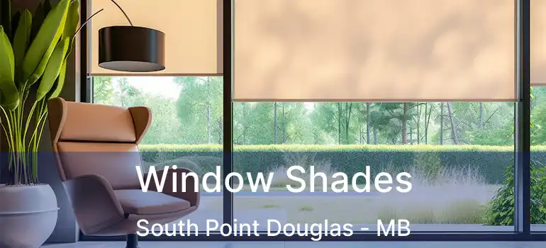  Window Shades South Point Douglas - MB