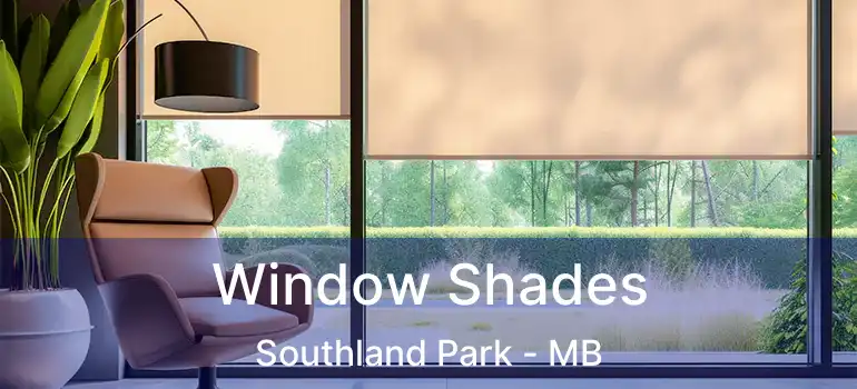  Window Shades Southland Park - MB