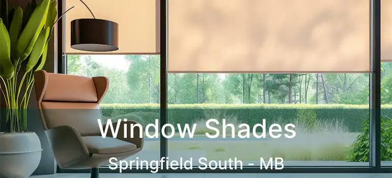  Window Shades Springfield South - MB