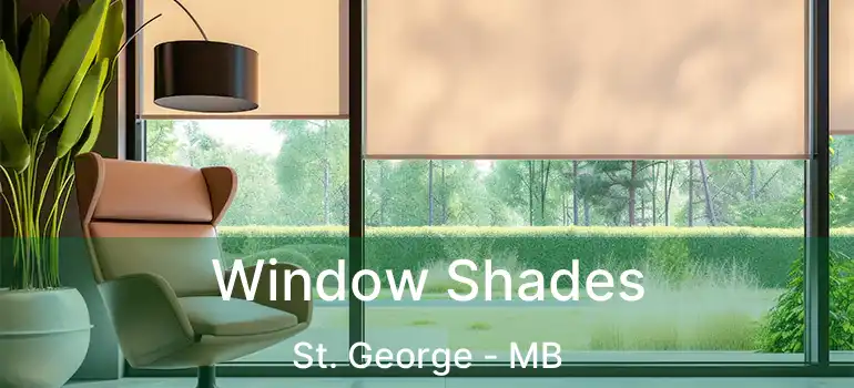  Window Shades St. George - MB