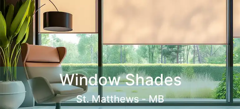  Window Shades St. Matthews - MB