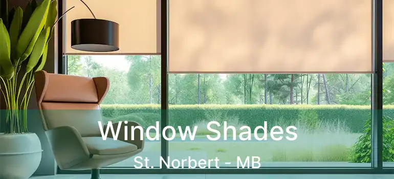  Window Shades St. Norbert - MB