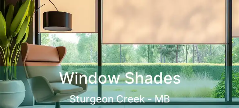 Window Shades Sturgeon Creek - MB