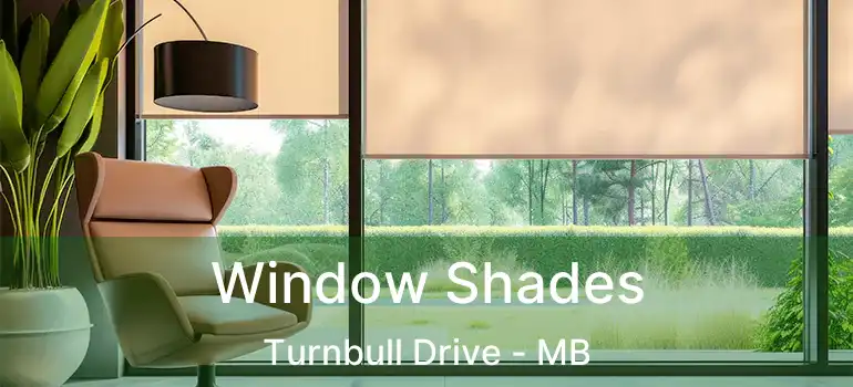  Window Shades Turnbull Drive - MB