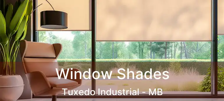  Window Shades Tuxedo Industrial - MB