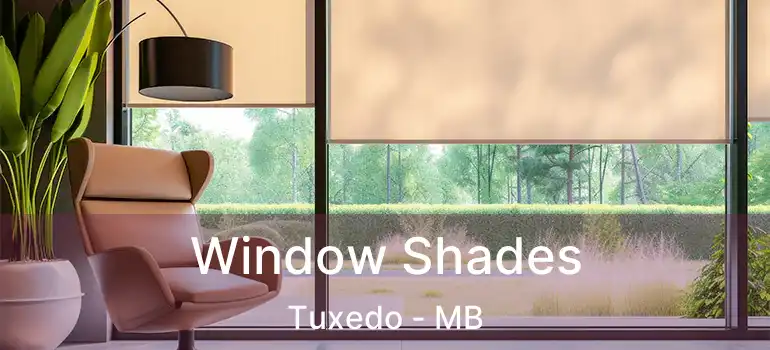  Window Shades Tuxedo - MB