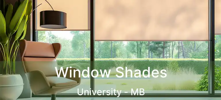  Window Shades University - MB